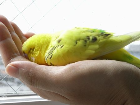 2009-0404-5.JPG
