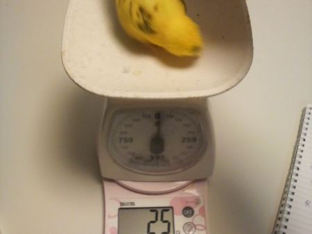 2009-0404-8.JPG