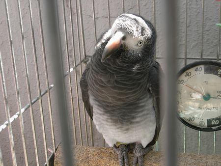 2009-0408-2.JPG