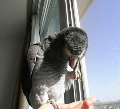 2009-0409-2.JPG