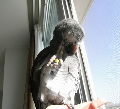 2009-0409-6.JPG