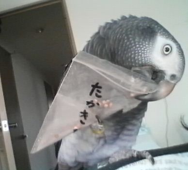 2009-0415-2.JPG