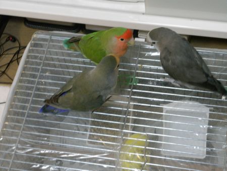 2009-0416-1.JPG