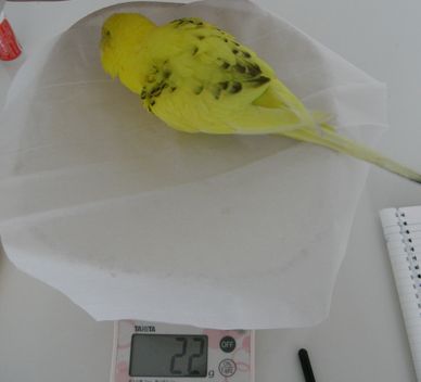 2009-0417-1.JPG
