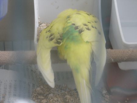 2009-0420-1.JPG