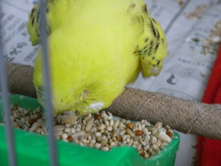 2009-0421-2.JPG