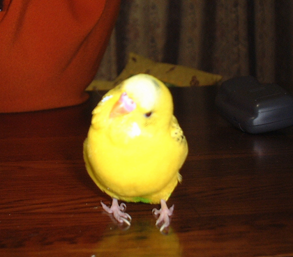 2009-0424-2.bmp