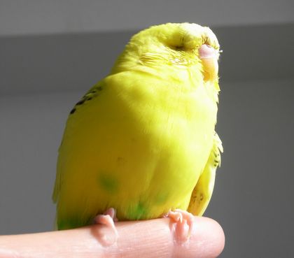 2009-0424-4.JPG