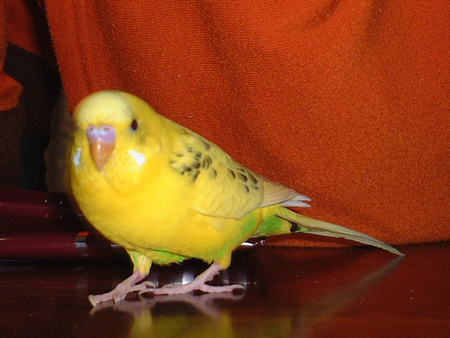 2009-0425-4.bmp