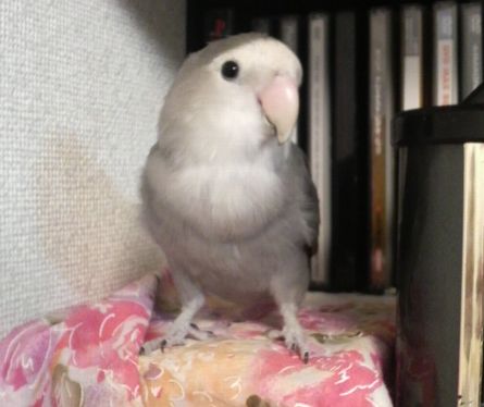 2009-0515-8.JPG