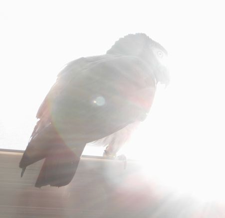 2009-0517-4.JPG