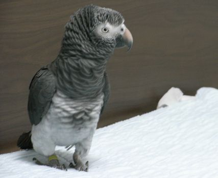 2009-0518-6.JPG