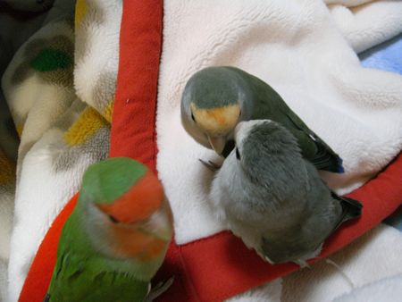 2009-0519-4.JPG