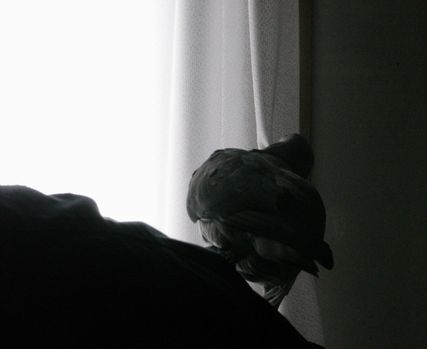 2009-0523-5.JPG