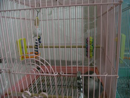2009-0611-6.JPG