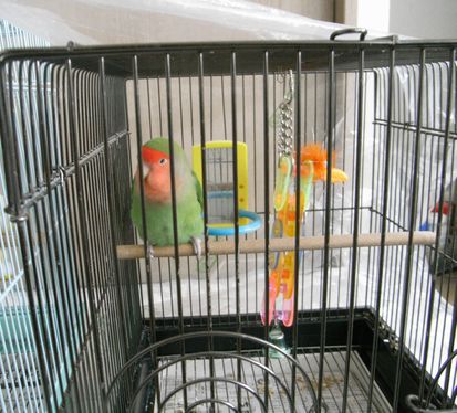 2009-0611-7.JPG
