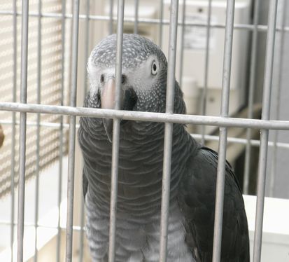 2009-0615-7.JPG