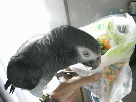 2009-0617-4.JPG