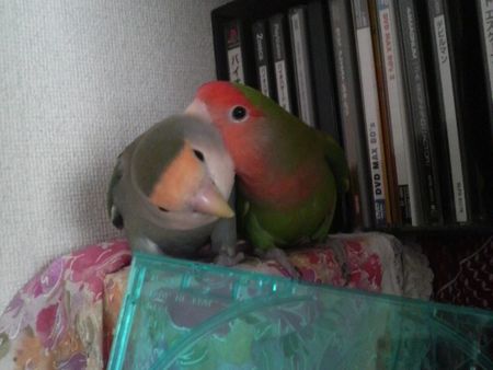 2009-0619-2.JPG