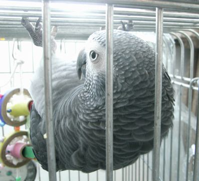 2009-0621-4.JPG