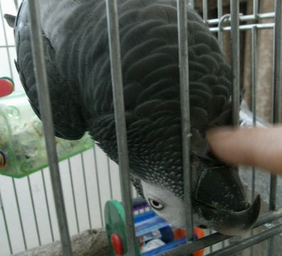 2009-0621-5.JPG