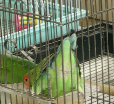 2009-0623-4.JPG