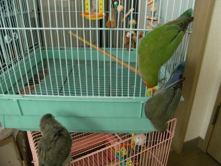 2009-0625-5.JPG