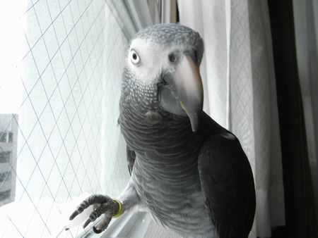 2009-0627-4.JPG