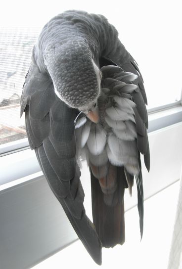 2009-0702-1.JPG