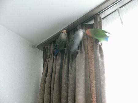 2009-0706-2.JPG