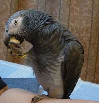 2009-0706-5.JPG