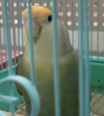 2009-0710-3.JPG