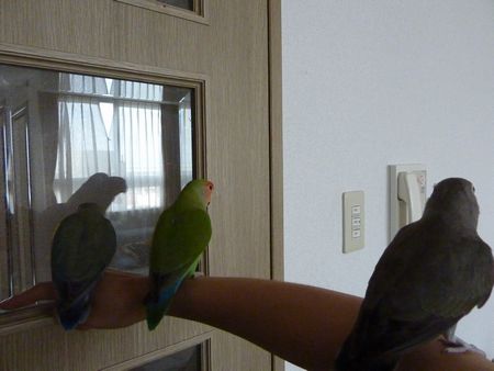 2009-0720-6.JPG