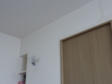 2009-0720-7.JPG