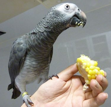 2009-0722-3.JPG