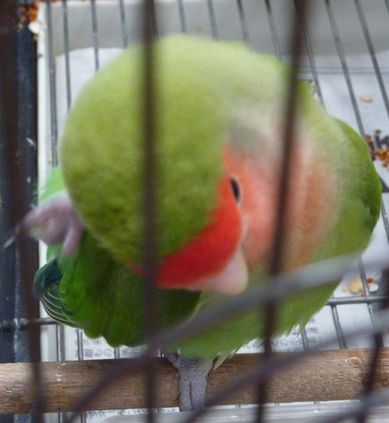 2009-0724-2.JPG