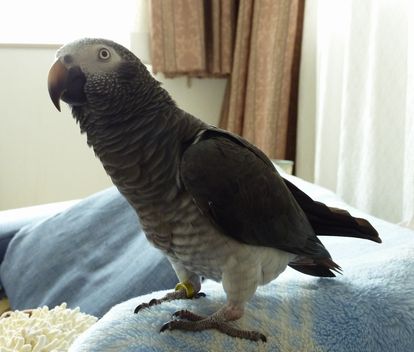 2009-0730-1.JPG