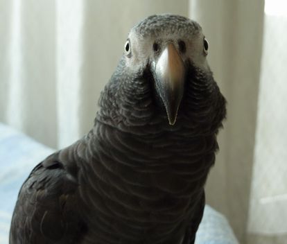 2009-0730-2.JPG