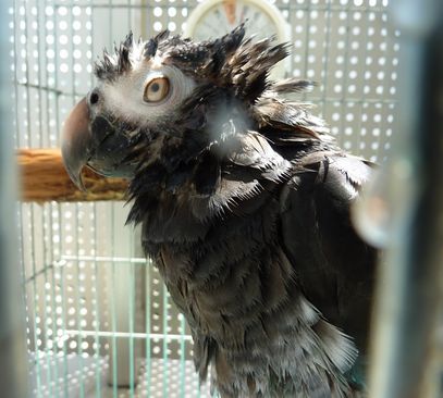 2009-0804-2.JPG