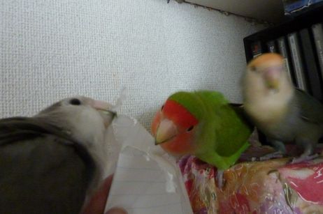 2009-0806-11.JPG