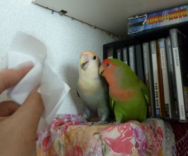 2009-0806-9.JPG