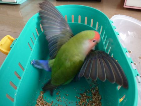 2009-0809-7.JPG