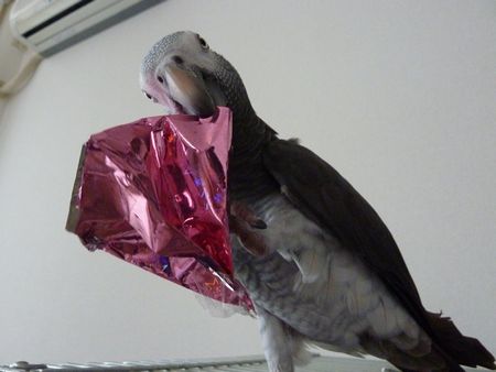 2009-0813-2.JPG