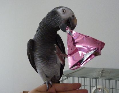 2009-0813-3.JPG