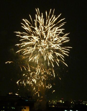 2009-0816-2.JPG