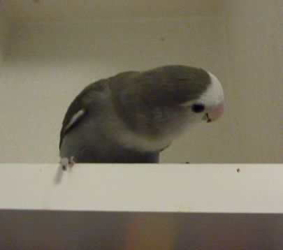 2009-0818-9.JPG
