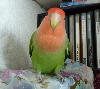 2009-0822-1.JPG
