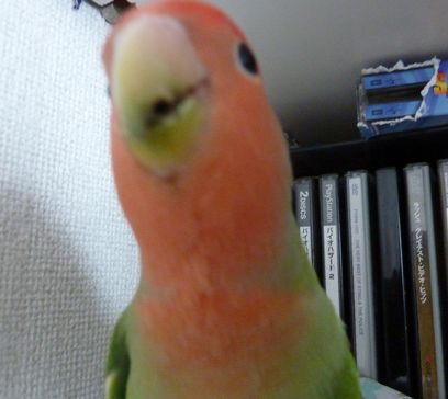 2009-0822-3.JPG