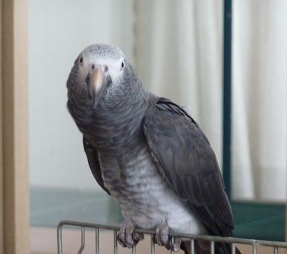 2009-0825-5.JPG