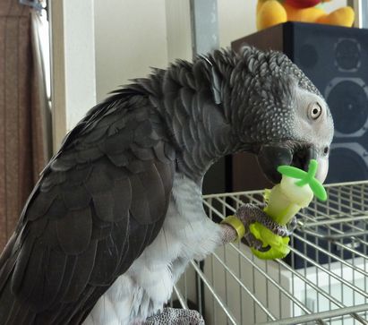 2009-0831-1.JPG